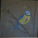 Blue tit;16×16 inches;oil on canvas;€160